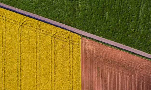 I pesticidi e il ciclo mestruale