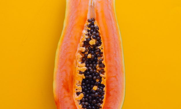 Il sistema immunitario e il ciclo mestruale