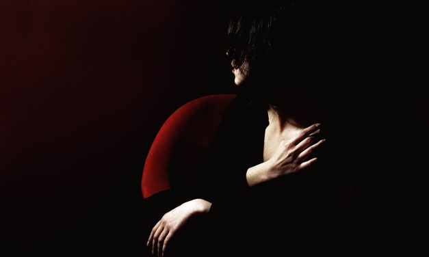 What happens in the luteal phase – phase 4 of the menstrual cycle