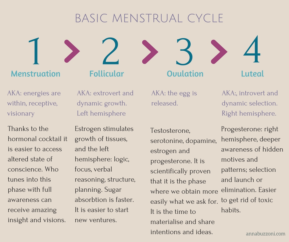 BASIC MENSTRUAL CYCLE