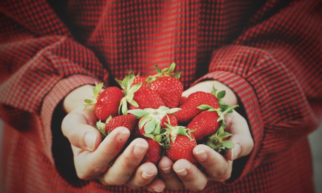 At the root of food waste