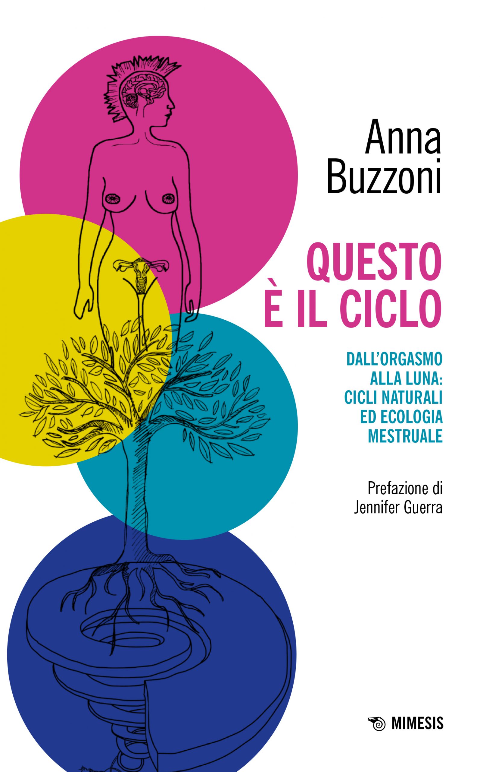 Questo è il ciclo - copertina